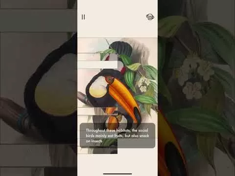 Friends of Fauna community feature in The Art of Fauna game