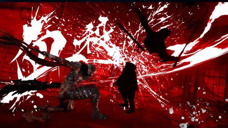 Ninja Gaiden 4 Combat