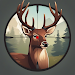 /de/gameplus/animal-hunter-wild-shooting.html