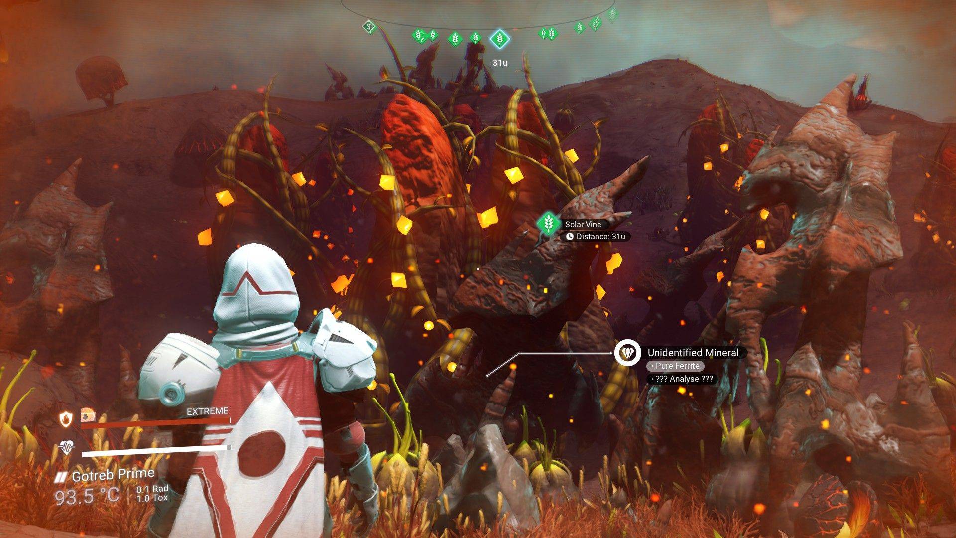 Solar Vine Location