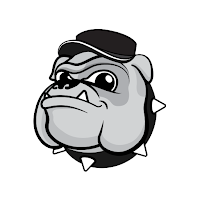 Bulldog VPN - Unlimited VPN