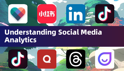 Understanding Social Media Analytics