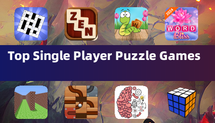 Top Single Player Puzzle Games